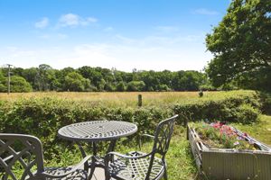 Photo 2- click for photo gallery